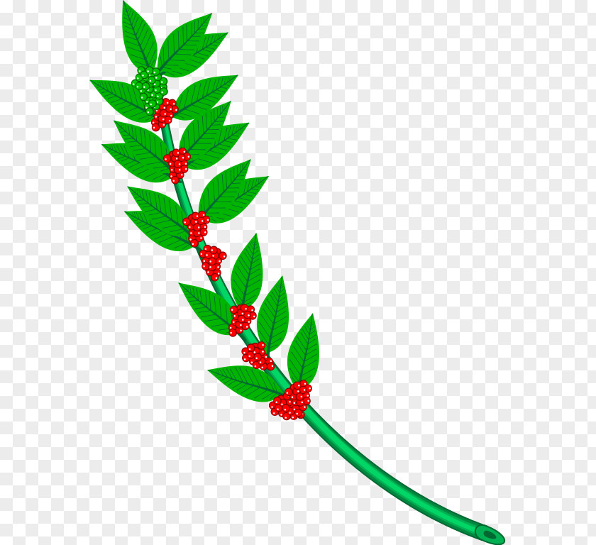 Coffee Branch Heraldry Wikimedia Commons Clip Art PNG