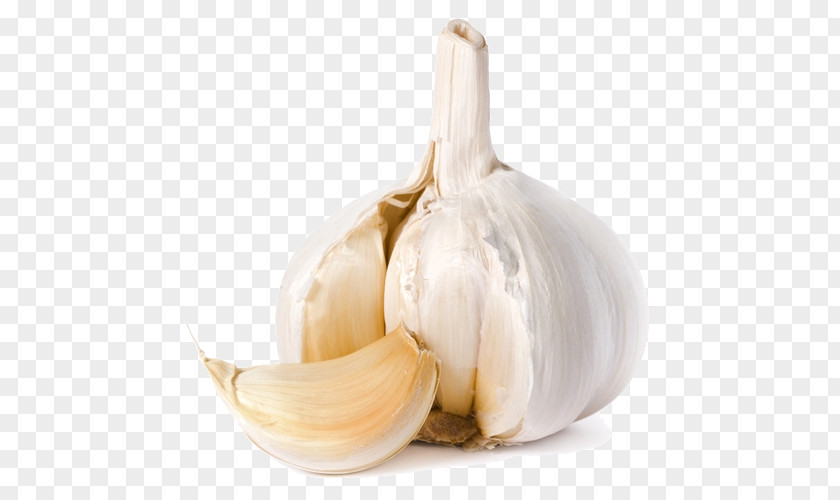 Garlic Bread Clove Onion Vegetable PNG