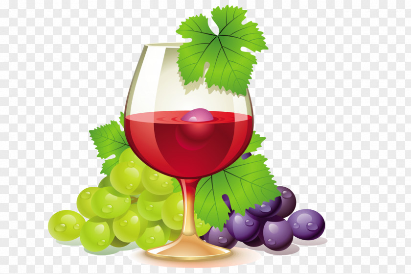 Grapes Wine Merlot Tannat Muscat PNG