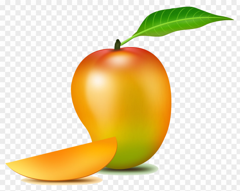 Mango Fruit Juice Clip Art PNG