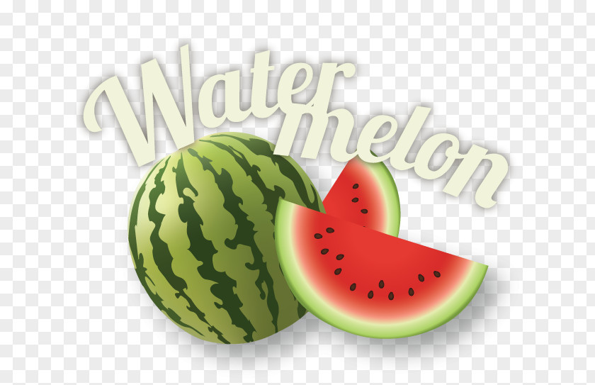 Watermelon Vector Graphics Illustration Photograph Royalty-free PNG