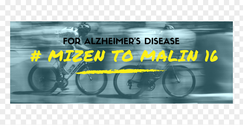 Alzheimer's Disease Einlegesohle Sport Almaty Information Poster PNG