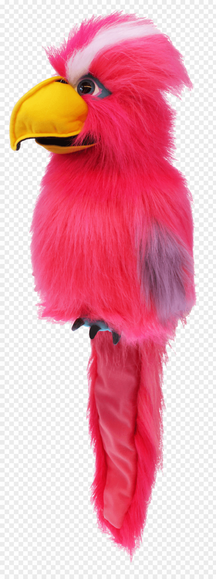 Feather Beak Fur PNG