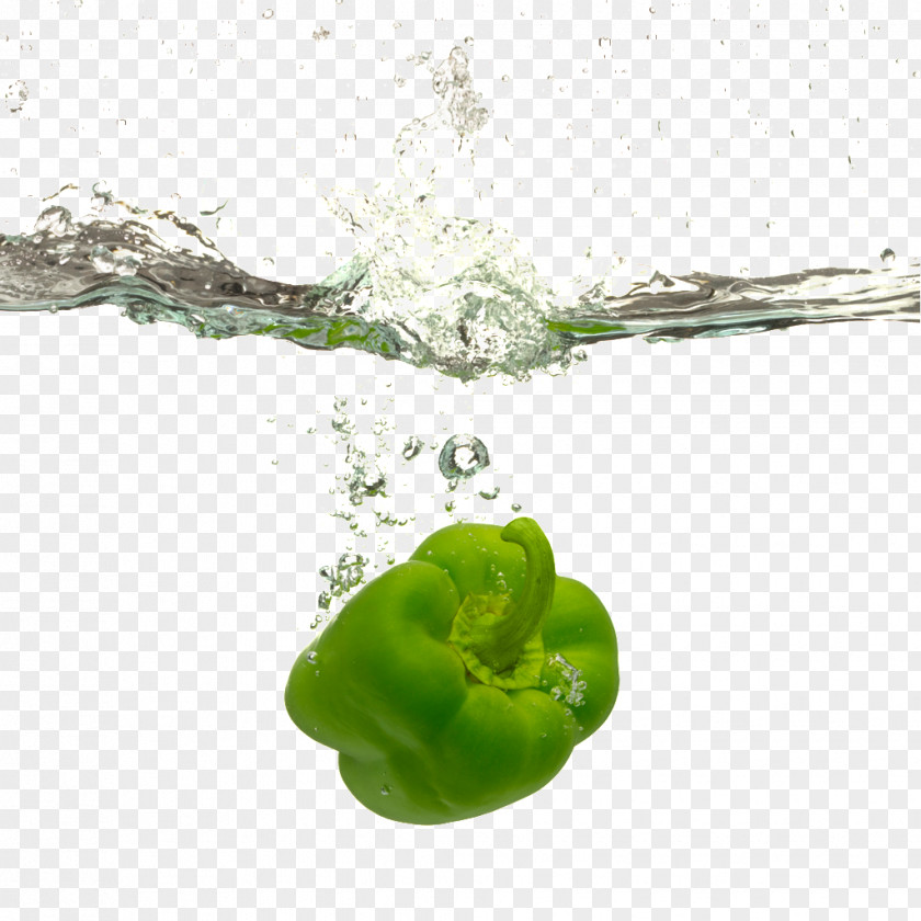 Green Pepper Bell Water Vegetable Food Recipe PNG