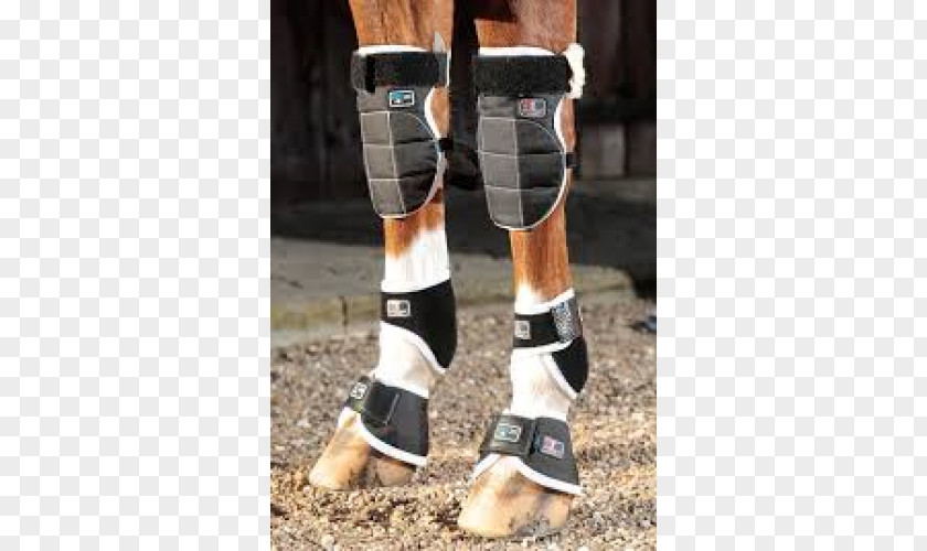 Horse Knee-high Boot Ankle PNG