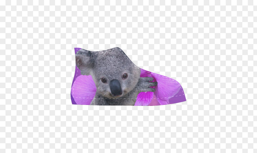 Koala 27 0 1 Australia Knitting Bear Animal Hat PNG