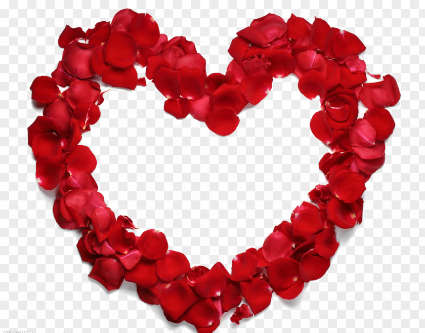 Rose Heart-shaped Frame Heart Beach Petal Flower PNG