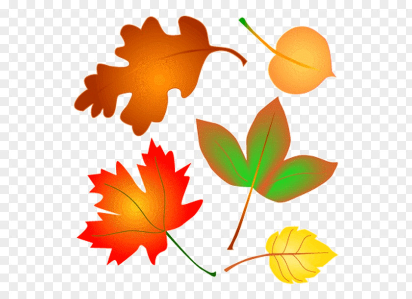 Autumn Clip Art Leaf Color Openclipart PNG