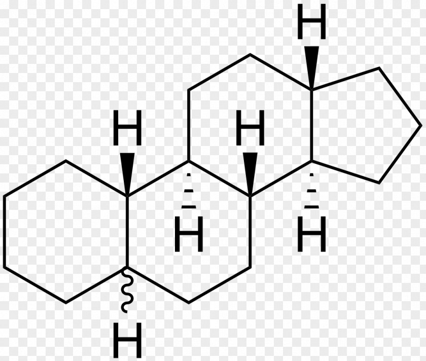 Gonane Steroid Hormone Sterane Androgen PNG