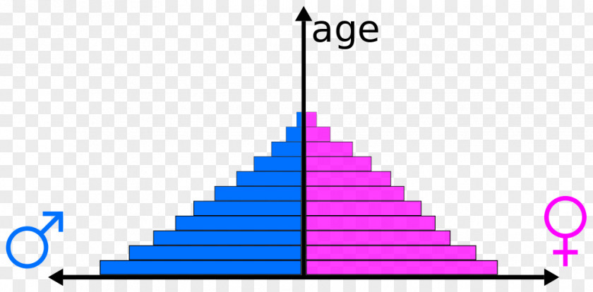 Good Shape Population Pyramid Chart World PNG
