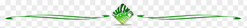 Green Divider Commodity Font Leaf Close-up Plant Stem PNG