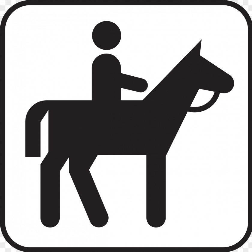 Horse Riding Pony Equestrian Clip Art PNG