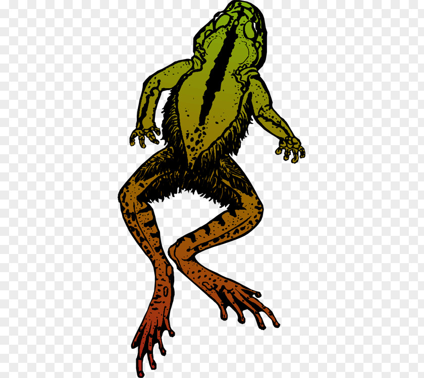 Jumping Cliparts Toad The Celebrated Frog Of Calaveras County True Clip Art PNG