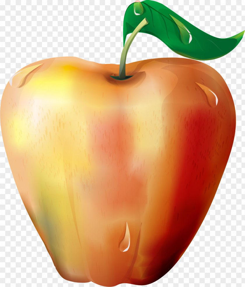 Apple Fruit Food Clip Art PNG