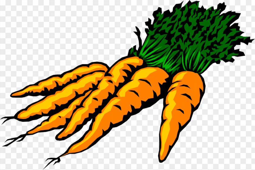 Carrot Clip Art Image GIF Illustration PNG