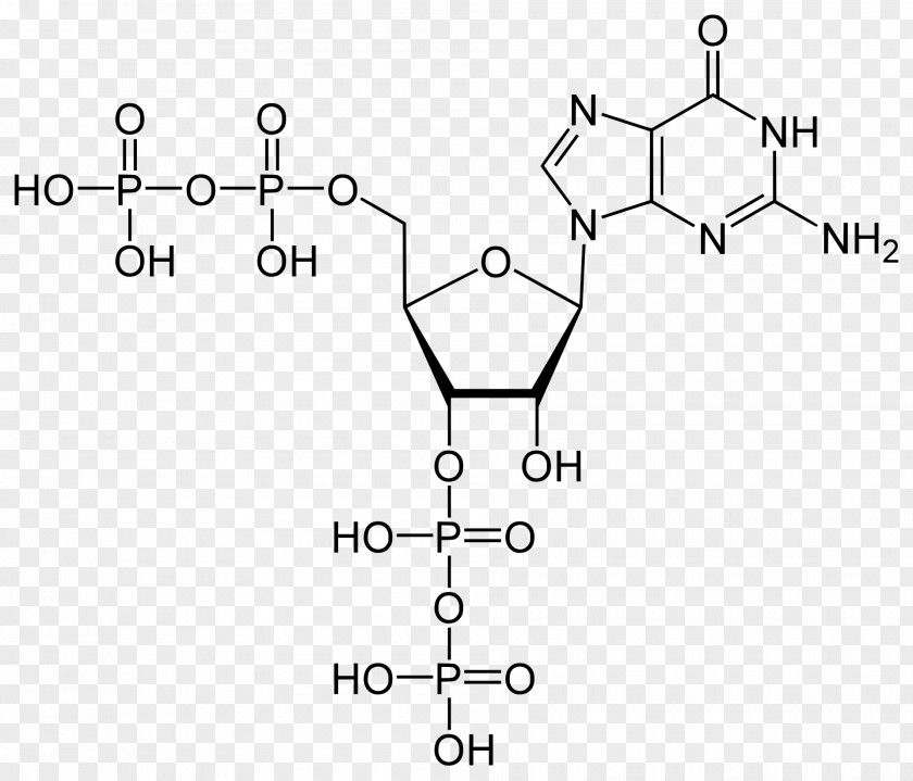 Energy Adenosine Triphosphate Molecule Diphosphate Cellular Respiration PNG