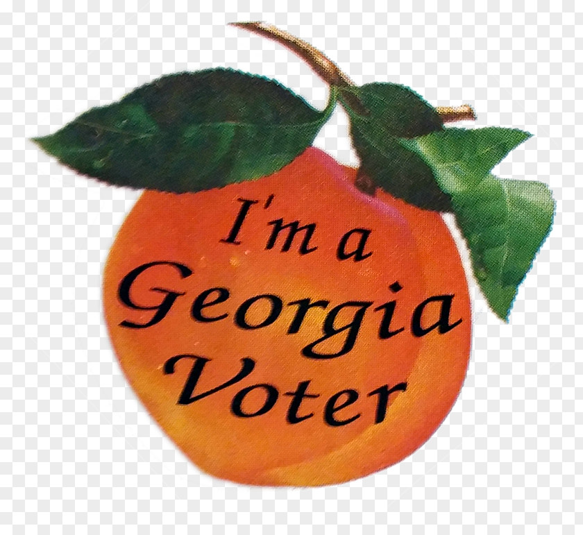 Georgia Voting Voter Registration Sticker Ballot PNG