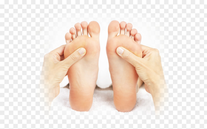 Health Acupressure Therapy Acupuncture Reflexology Massage PNG