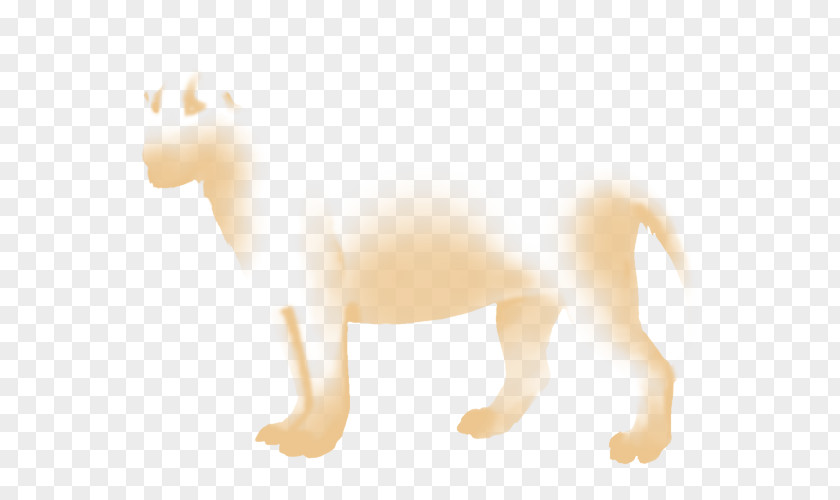 Khal Drogo Dog Lion Cat Desktop Wallpaper Mammal PNG
