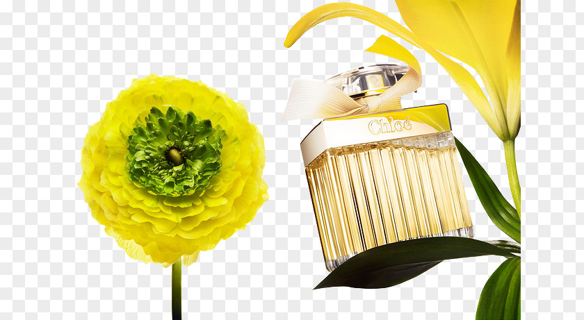 Perfume Poster Cosmetics Floral Design PNG