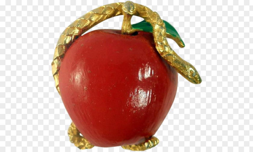 Pin Brooch Apple Jewellery Garden Of Eden PNG