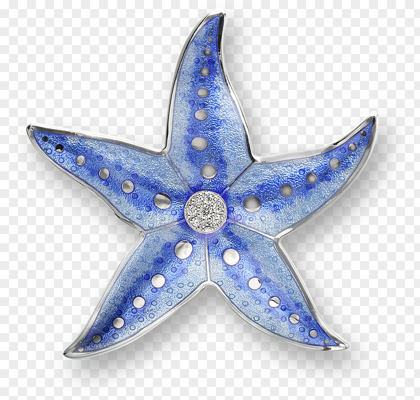 Starfish Story For Teachers Earring Brooch Sterling Silver PNG