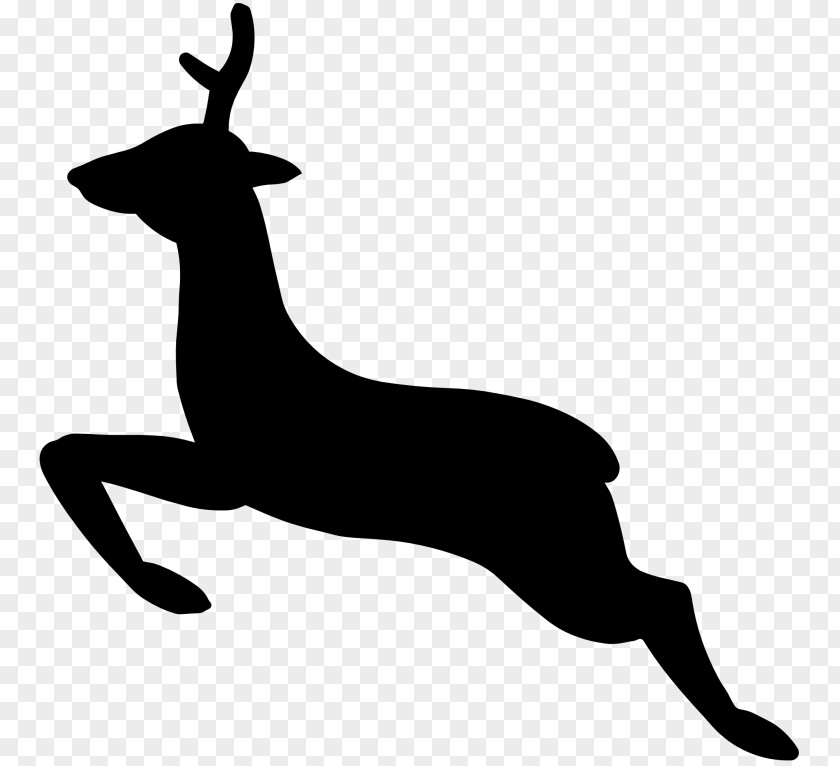 Deer White-tailed Silhouette Clip Art PNG