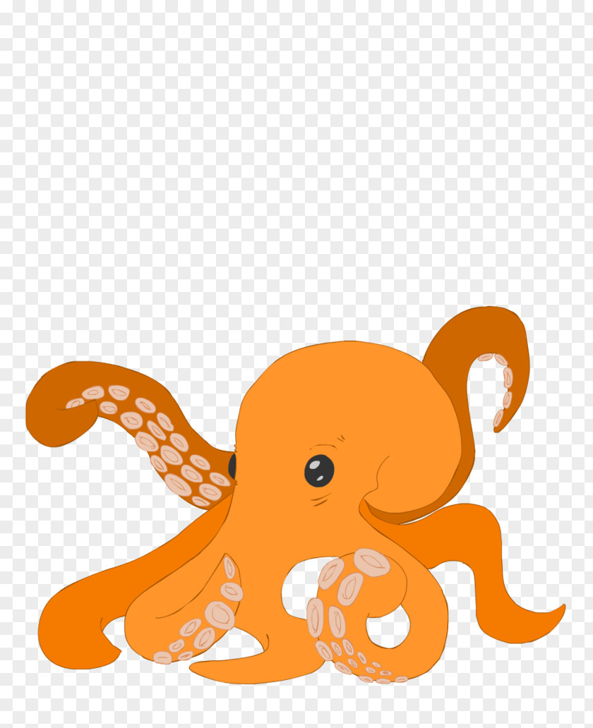 Orange PNG