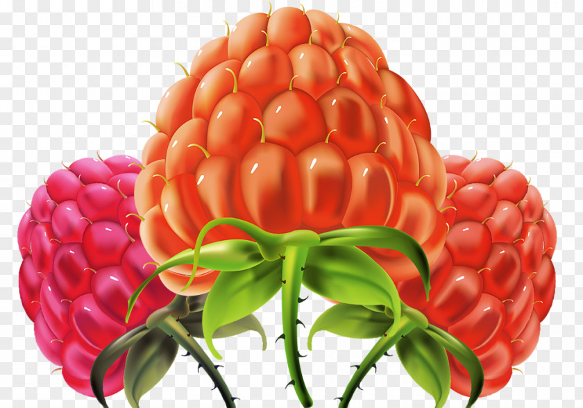 Raspberry Creative Hand-painted Effect Frutti Di Bosco Icon PNG