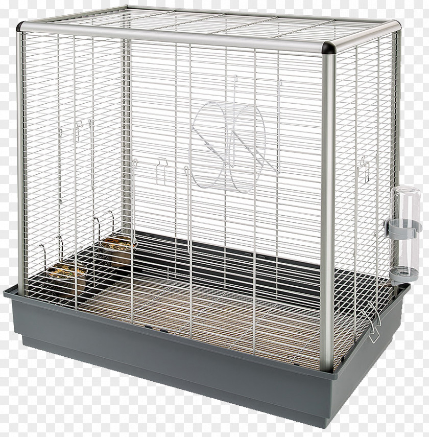 Squirrel Rodent Ferplast Cage Jenny Scoiattoli KD 80 X 50 76.5 Cm PNG