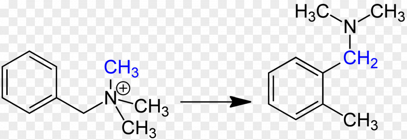 Trailworks Hauser Rhyner Organic Chemistry Methylene Group Molecule Alkene PNG