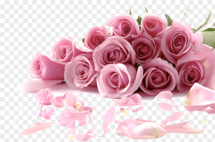 Romantic Bouquet Of Pink Roses Rose Flower Wallpaper PNG