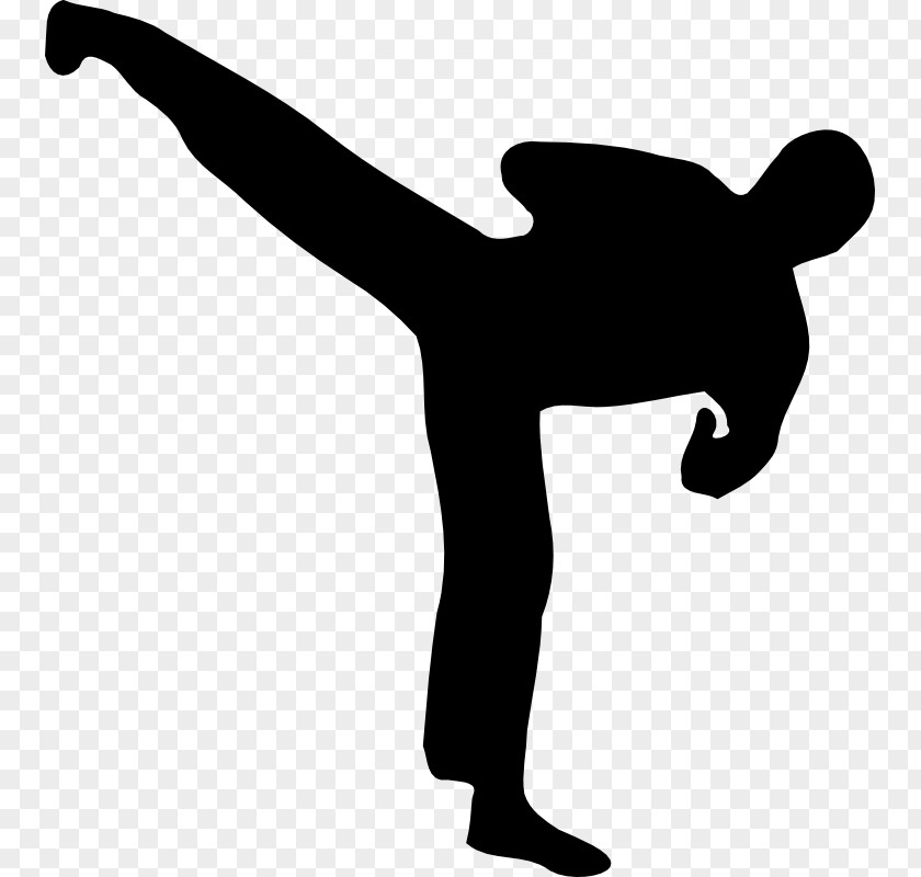 Silhouette Kickboxing PNG