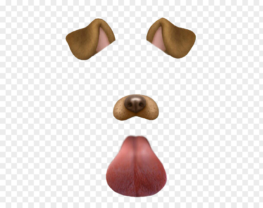 Snapchat Filters Transparent Images Dalmatian Dog Photographic Filter Clip Art PNG