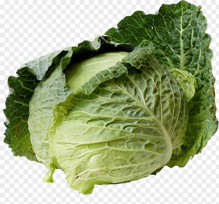 Brassica Collard Greens Vegetables Cartoon PNG