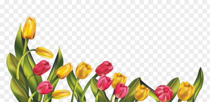 Clip Art Indira Gandhi Memorial Tulip Garden Image PNG