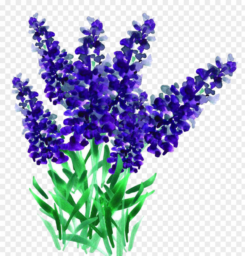 Creative Hand-painted Cartoon Bouquet Of Lavender PNG