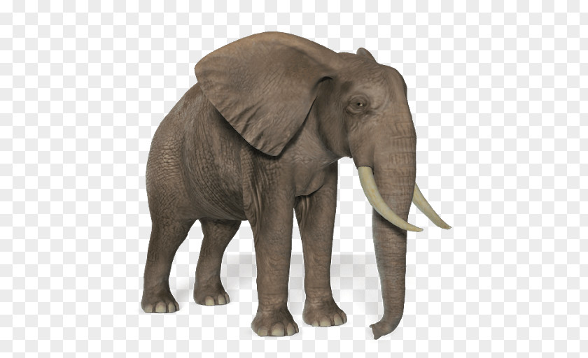 Elephant African Bush Clip Art PNG