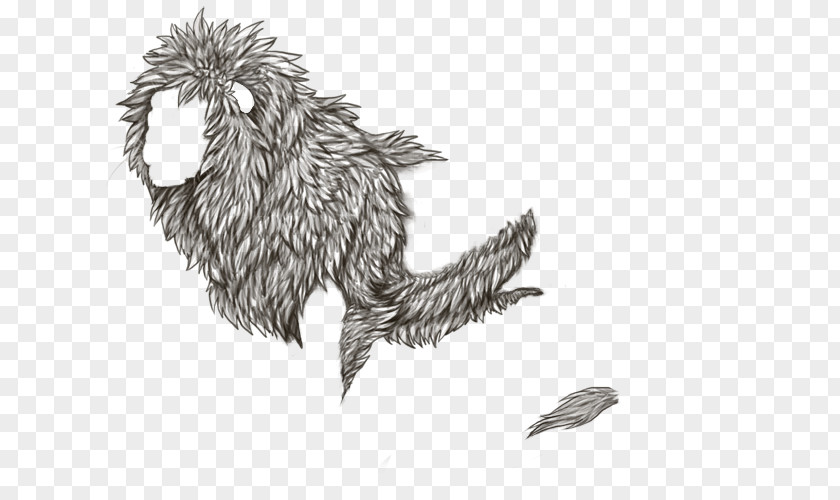 Lion O Line Art Bird Siamese Cat Feather PNG