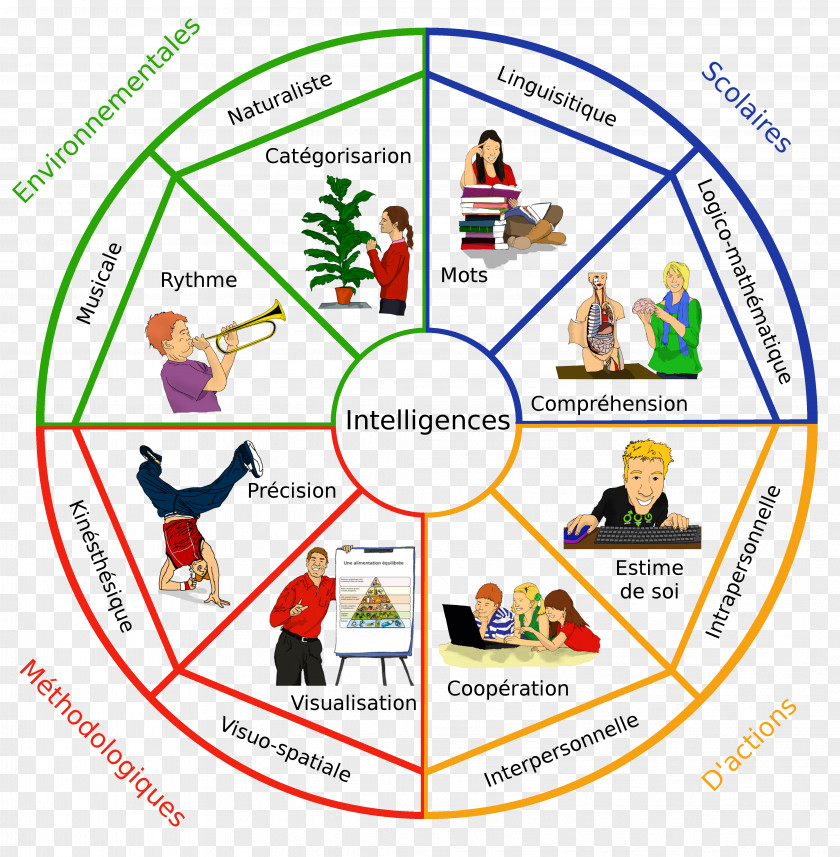 Ludo Theory Of Multiple Intelligences Psychological Testing School Intelligenstest PNG