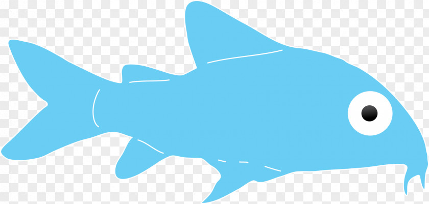 Shark Requiem Sharks Marine Biology Dolphin Clip Art PNG