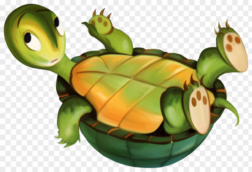 Turtle Animaatio Clip Art PNG