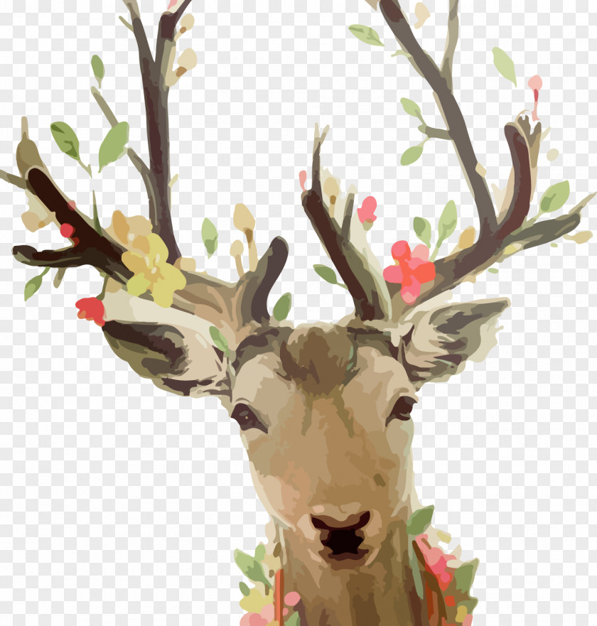 Watercolor Deer Reindeer Painting Sika PNG