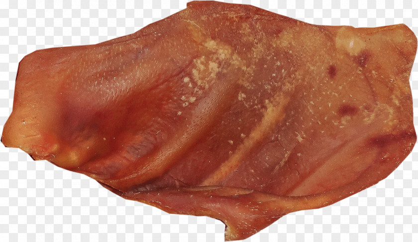 Ham Back Bacon Bayonne Pig's Ear PNG