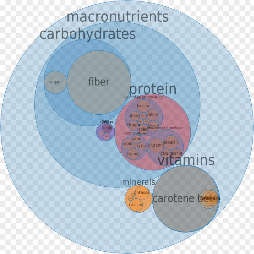 Raw Chicory Root Nutrient Mineral Milk Vitamin Food PNG