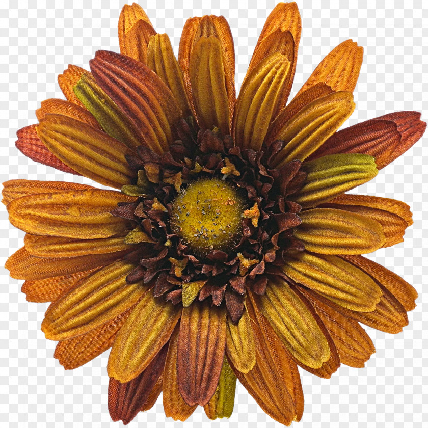 Wild Flower PNG