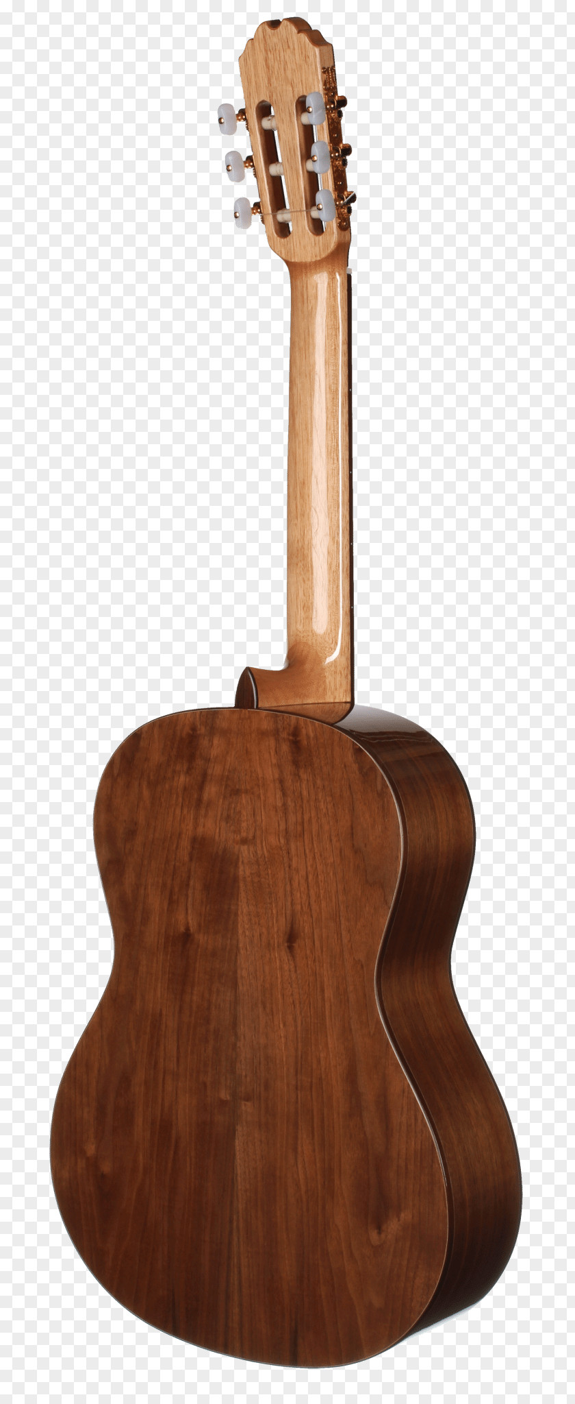 Acoustic Guitar Tiple Cavaquinho Ukulele Cuatro PNG