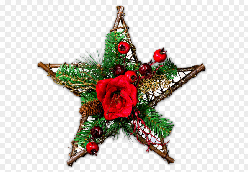 Christmas Tree Star Of Bethlehem Ornament Clip Art PNG