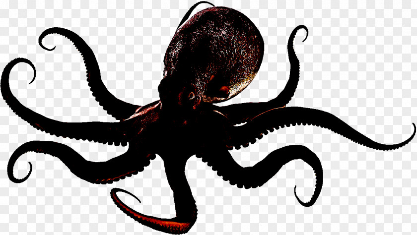 Fictional Character Animal Figure Octopus Giant Pacific Marine Invertebrates PNG