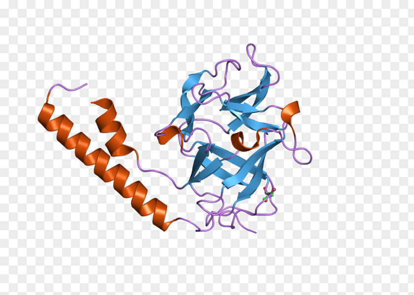 ITPR1 Image Inositol Trisphosphate Receptor Desktop Wallpaper Spinocerebellar Ataxia PNG